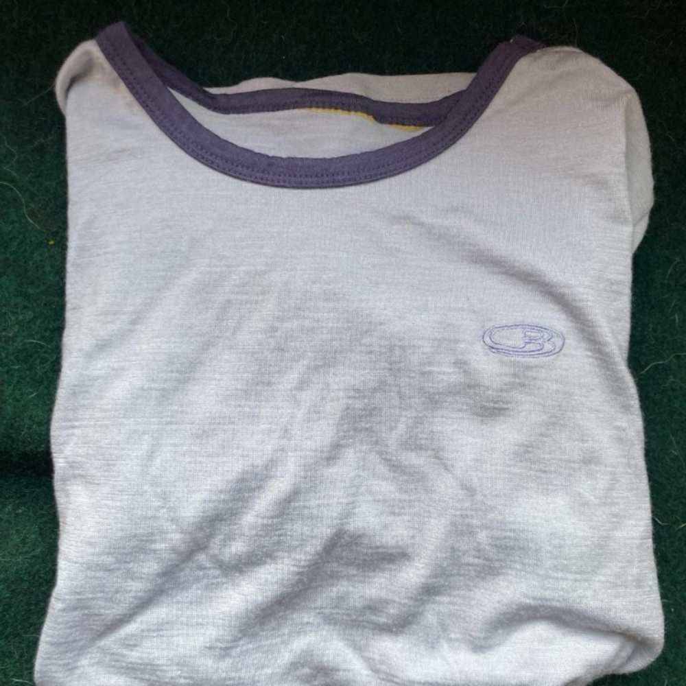 Icebreaker Merino Wool 190 T shirt in Periwinkle